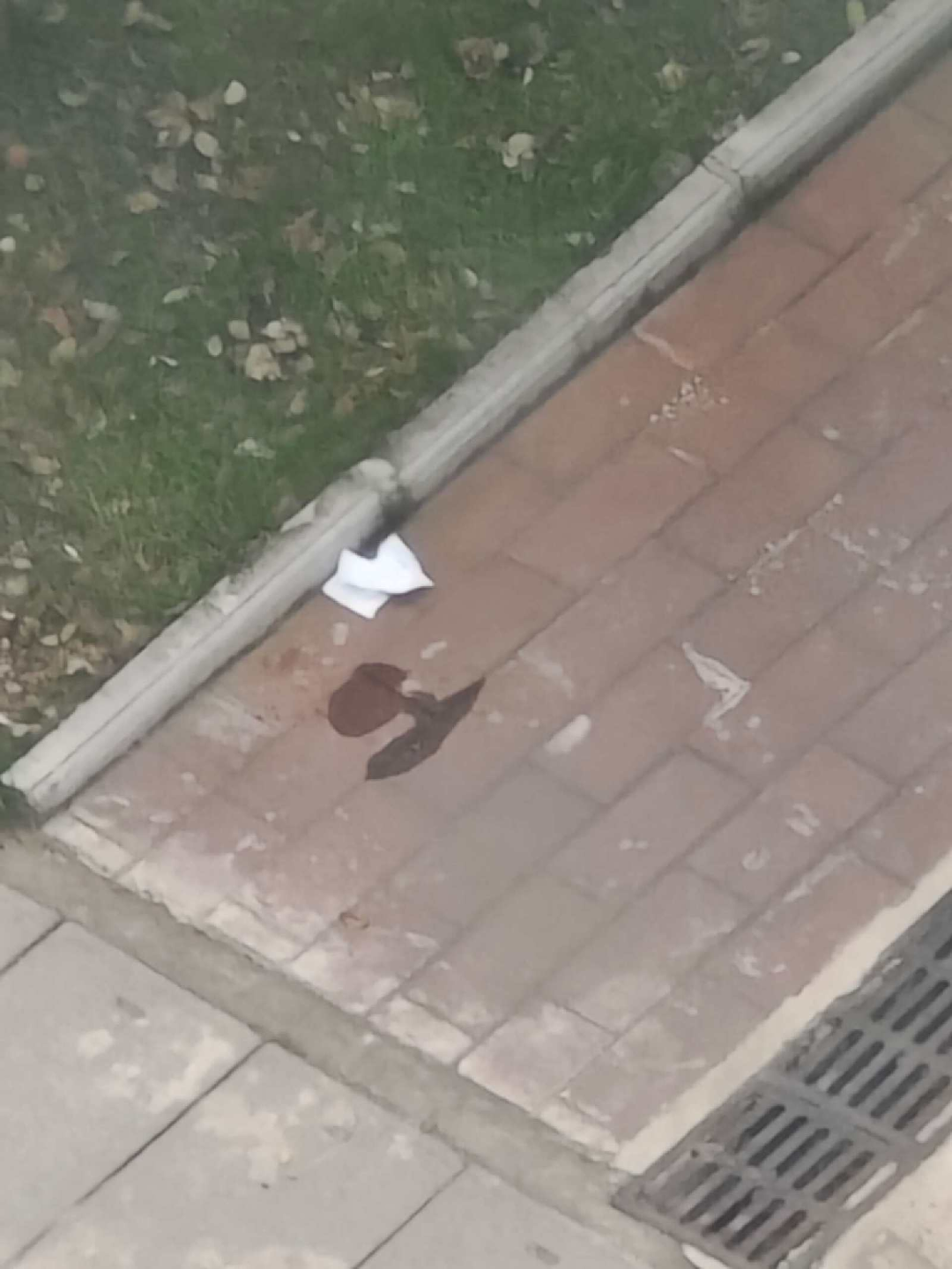 包含武警總醫(yī)院"醫(yī)院黃牛掛號(hào)需要提供身份證照片嗎",的詞條