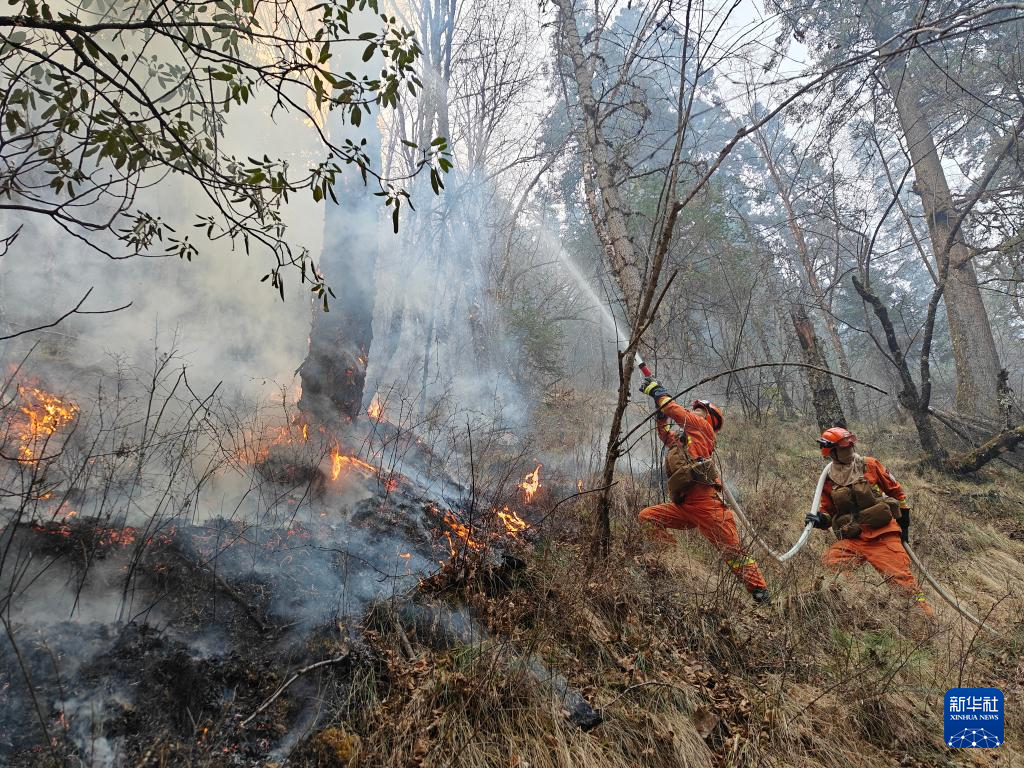3月18日拍摄的康定市沙德镇森林火灾现场(无人机照片).