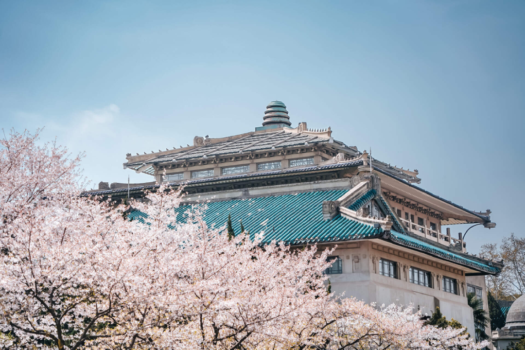 武大学生,真的怕了樱花季|武汉大学_新浪财经_新浪网
