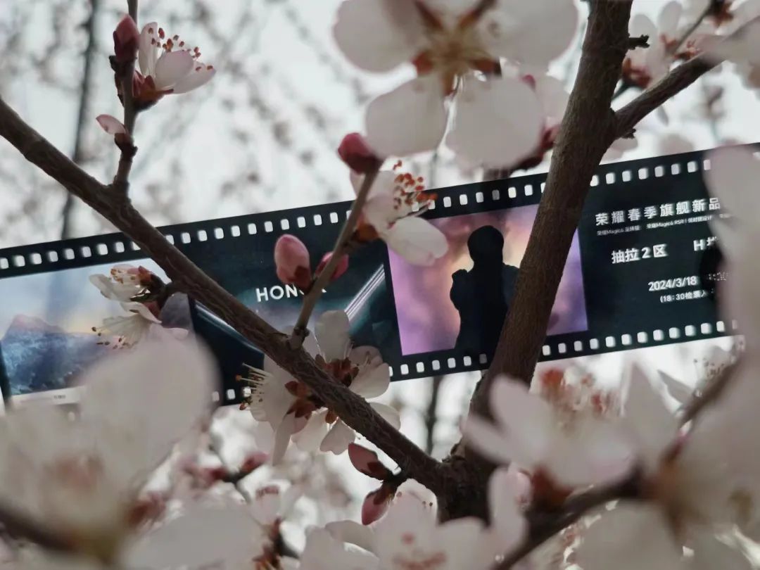 荣耀magic6 rsr保时捷设计发布,9999元_新浪财经_新浪网