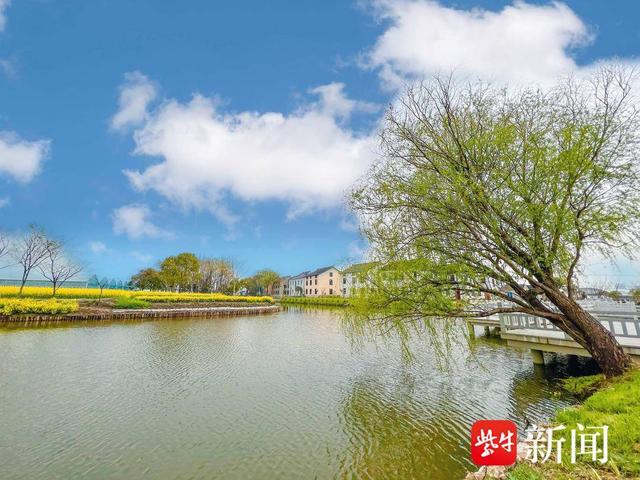 常熟市碧溪街道创新举措推进乡村治理_新浪财经_新浪网