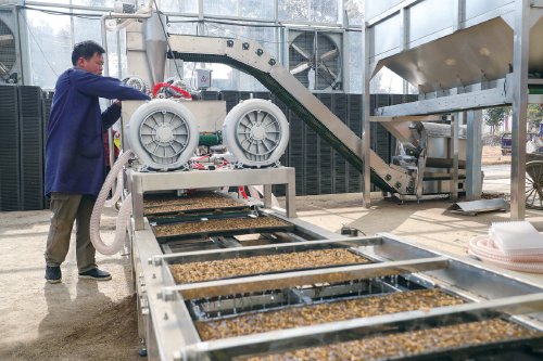 信阳市光山县罗陈乡张楼村青龙河合作社,工人正在操作机器人进行智能