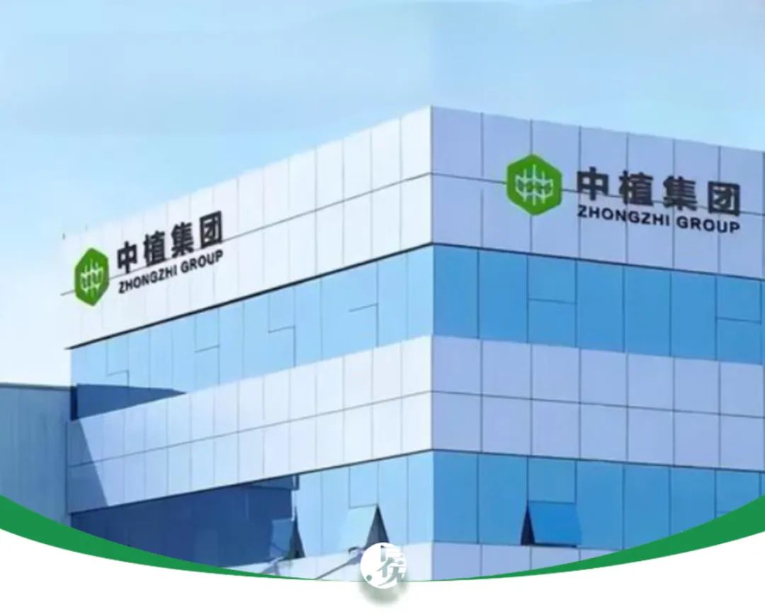 中植系的员工开始退赃了有人要吐出500多万深度