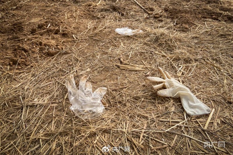 案发现场散落着一次性手套和橡胶手套(记者&nbsp;王伟倩&nbsp;摄)