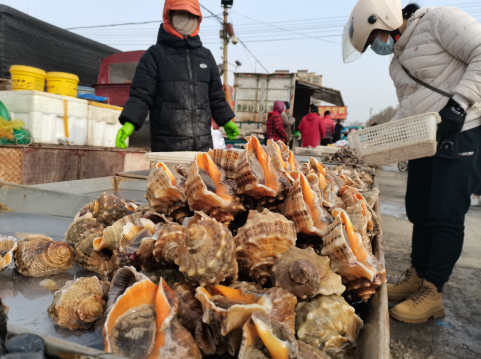 青岛渔码头上怎么这么热闹?这些小海鲜大量上岸→_新浪财经_新浪网