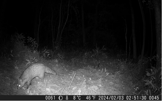 略长于前肢,吻部尖而突出,体表具斑点,尾巴粗长且具明显的黑色环纹