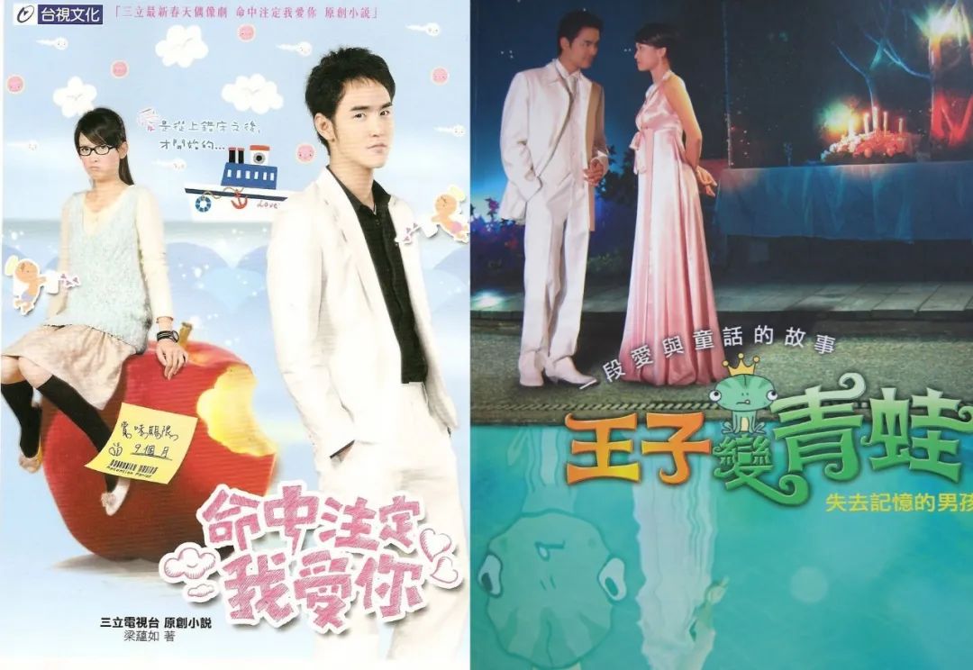 《王子变青蛙》《命中注定我爱你》《千金百分百》《佳期如梦》