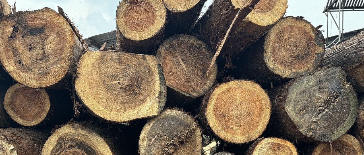内陆地区国产原木对进口原木的替代情况