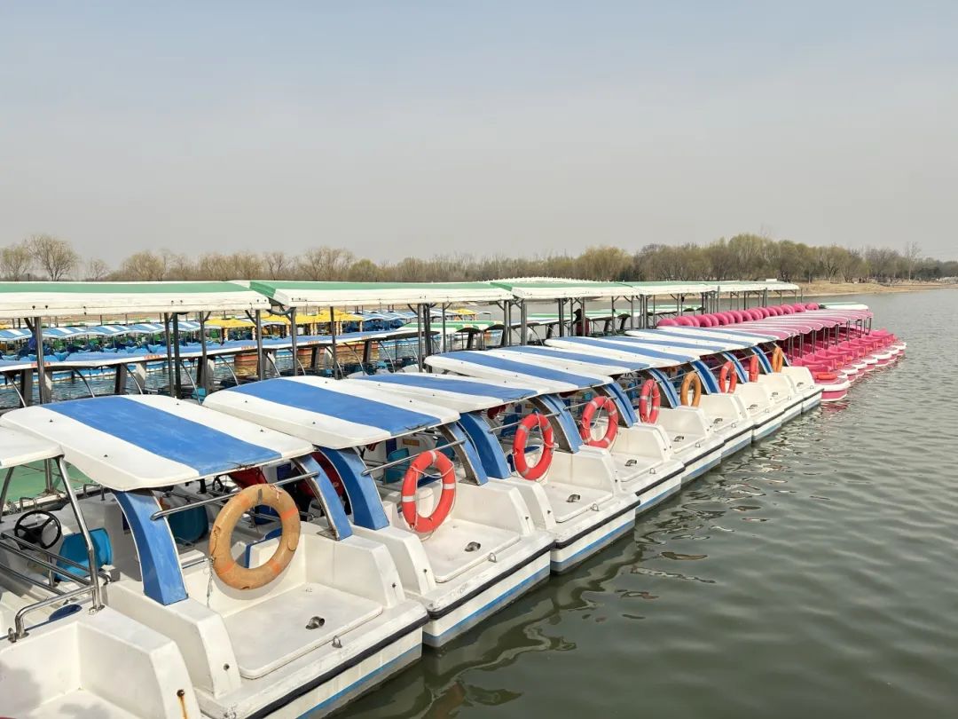 赏春游船好去处,北京南海子公园游船码头开放啦|北京市_新浪财经_新浪