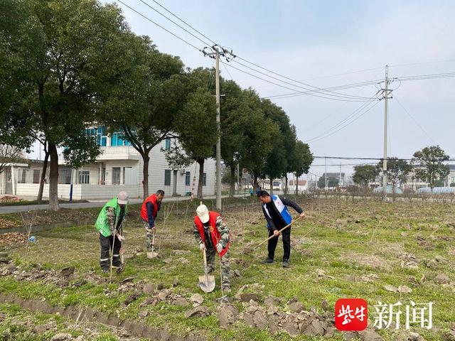 常熟市董浜镇里睦村开展义务植树活动_新浪财经_新浪网