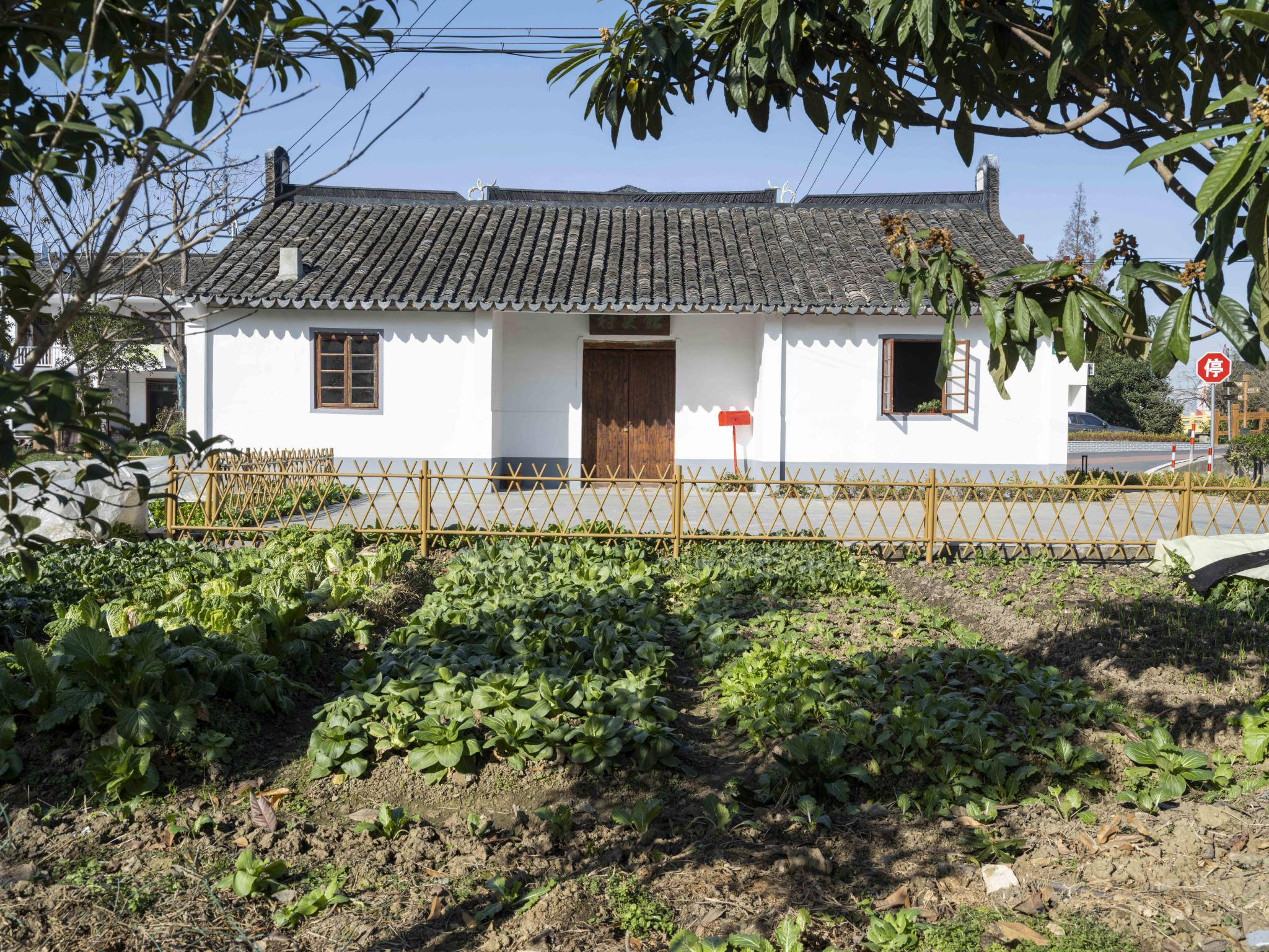 上海青浦东厍村:打造文旅融合的乡村自然美学