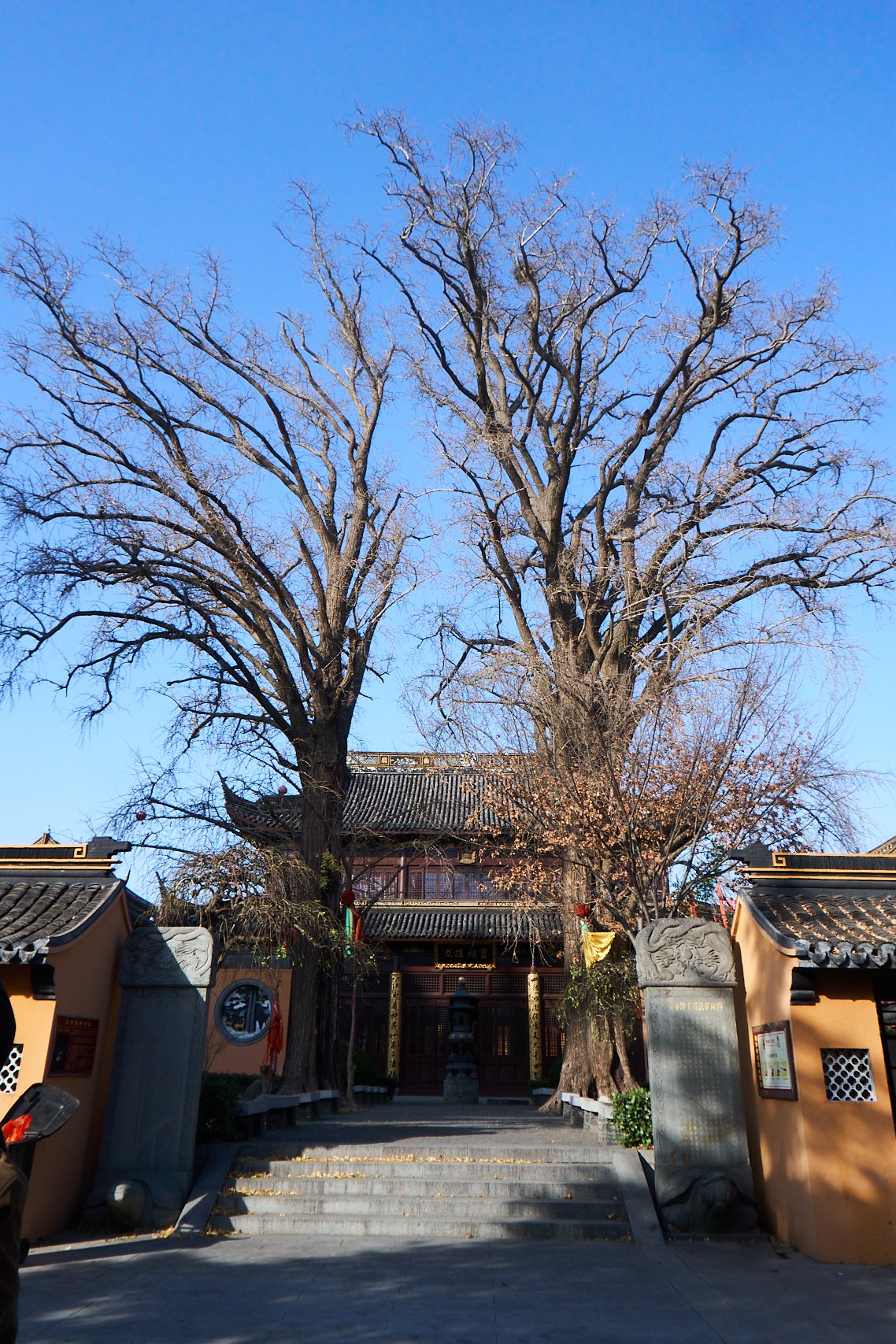 上海青浦东厍村:打造文旅融合的乡村自然美学_新浪财经_新浪网