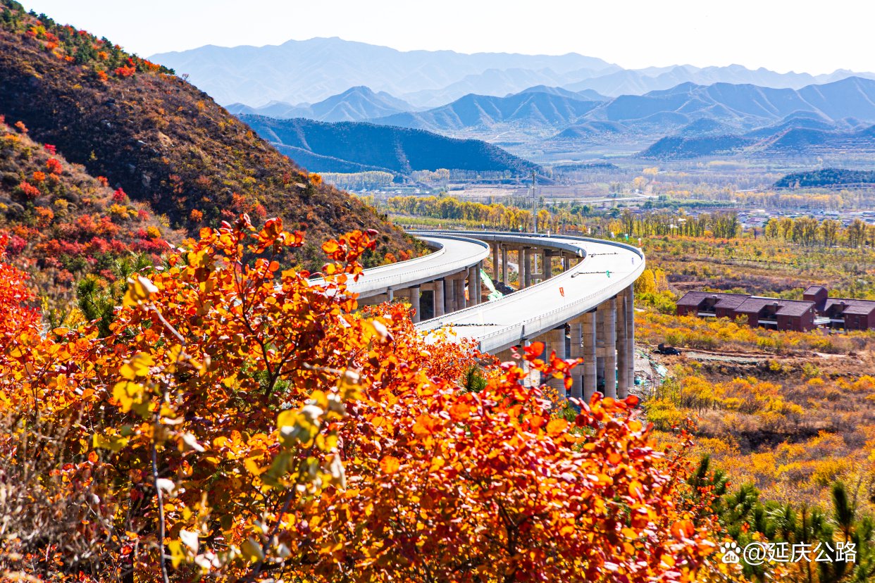 延庆又双叒获评"北京市最美乡村路"啦!_新浪财经_新浪网