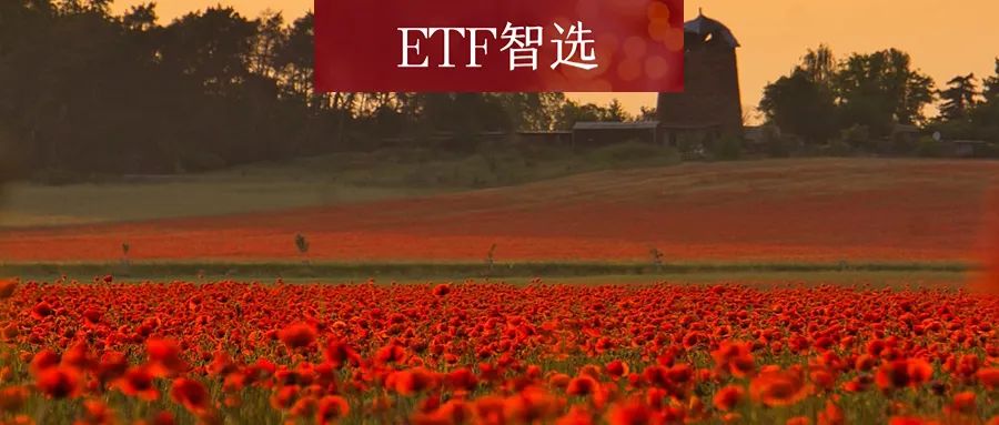 都是A50ETF，凭啥他赚、我亏?