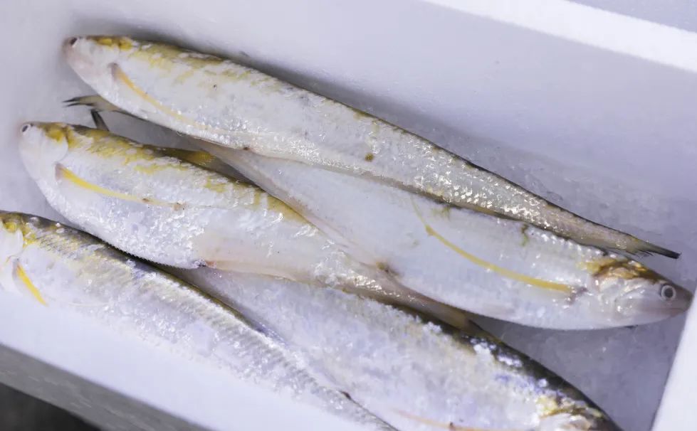 上市了!1200元/斤!|馄饨_新浪财经_新浪网