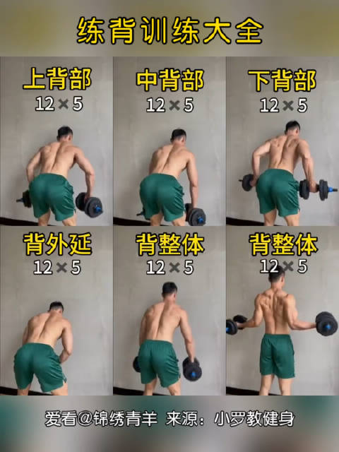 早安!练背训练大全!居家用一对哑铃就能练出好看背部!|哑铃|背部_新浪新闻