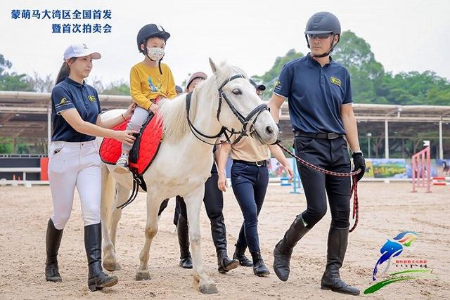 “蒙萌马”——中国自主品牌的PONY马!——蒙萌马大湾区全国首发暨首次拍卖会在深圳举行|大湾区_新浪财经_新浪网