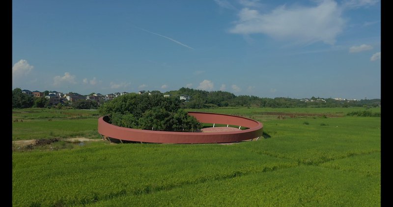 《树剧场》曹睿芝，摄影©风语筑