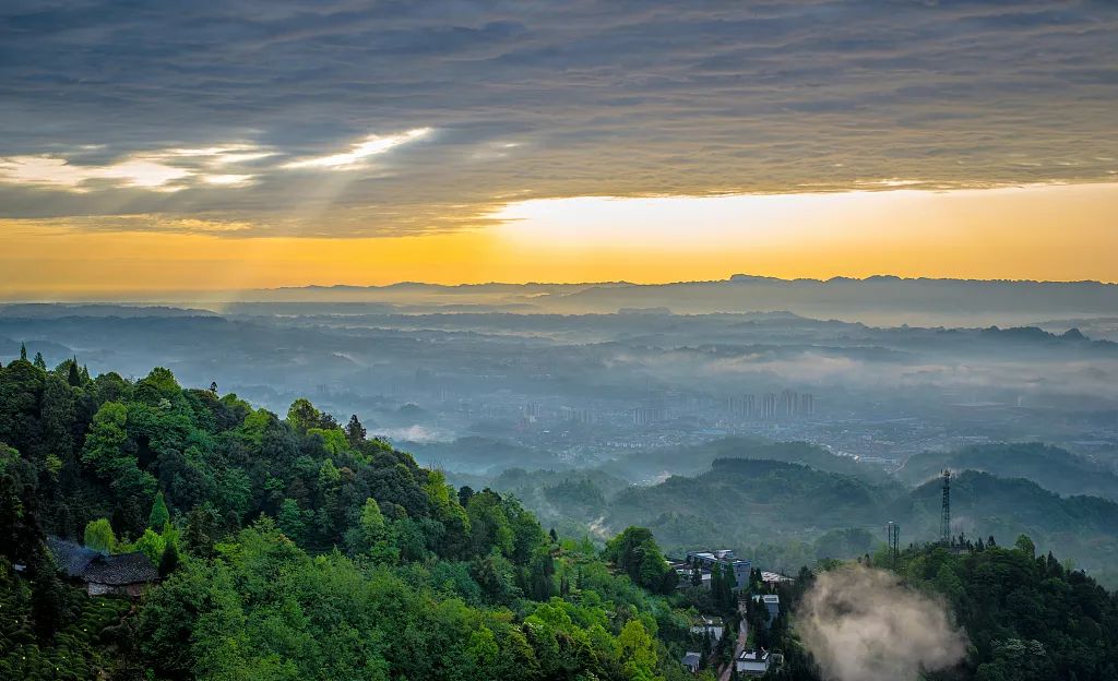 春光正当时!第二十届蒙顶山茶文化旅游节3月27日开幕 | 新闻发布会|旅