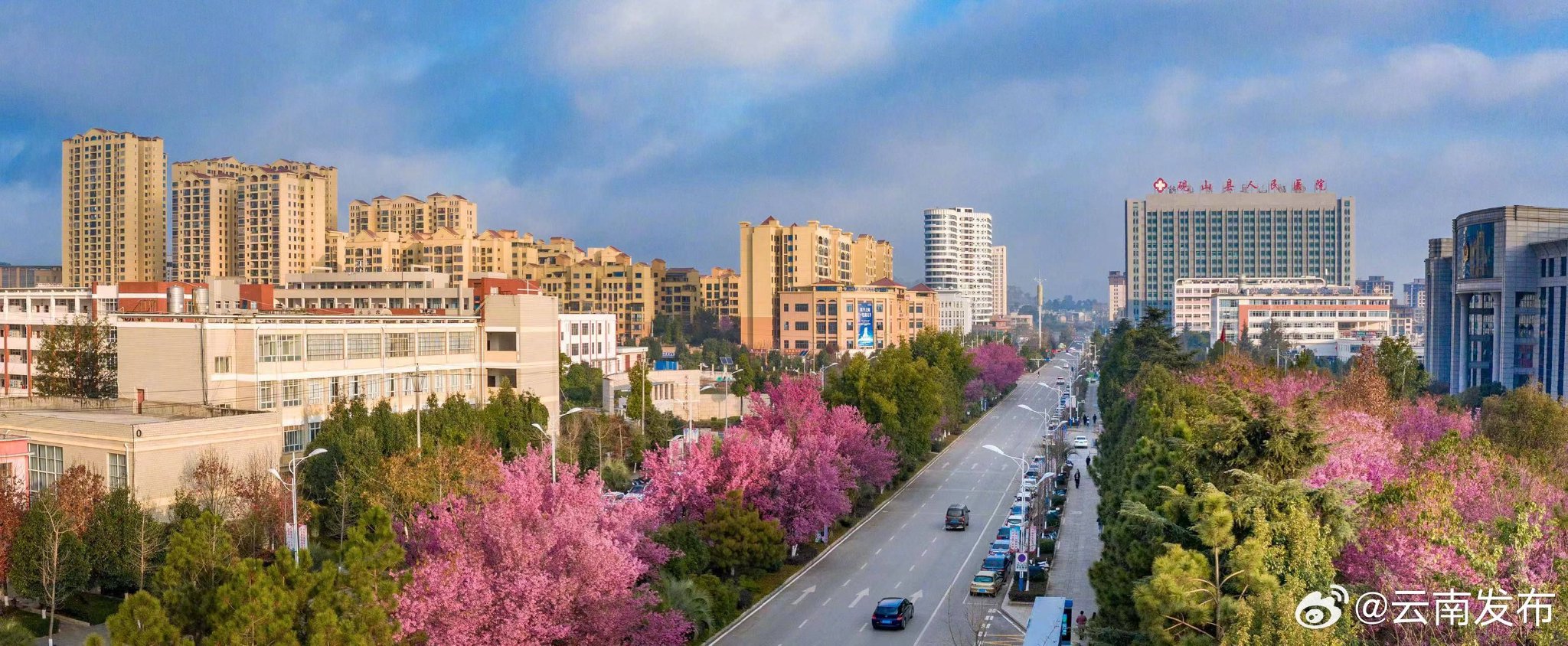 云南首家区域性审方中心在文山砚山上线|云南省_新浪财经_新浪网