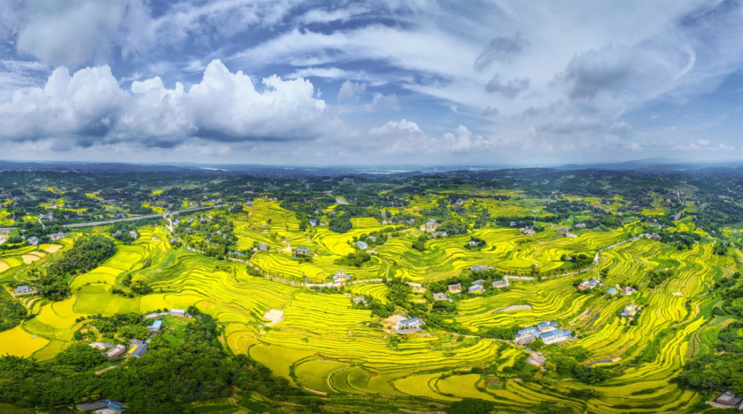 江津乡村风光&nbsp;图:江津发布