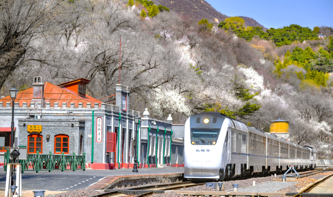 千树万树"春"花开,s2线赏花你来不来?_新浪财经_新浪网