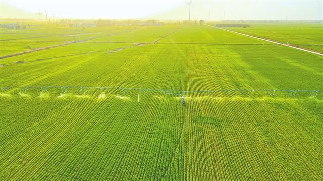 3月19日,新野县施庵镇高标准农田项目区内,大型机械正在进行喷洒灌溉.