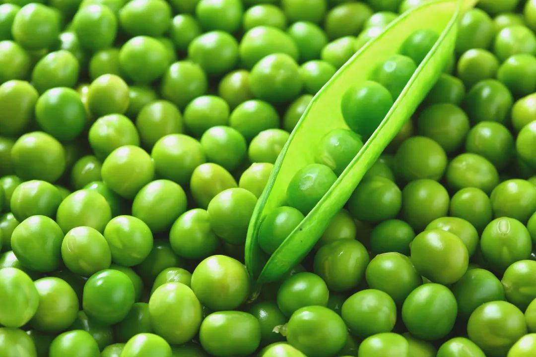 这种豆子营养满分,高蛋白,高钾,春天吃正好!|蛋白质_新浪财经_新浪网
