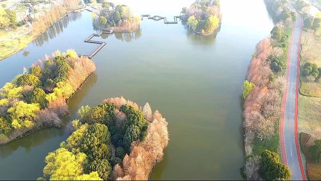 安徽颍上五里湖:湿地春色美_新浪财经_新浪网