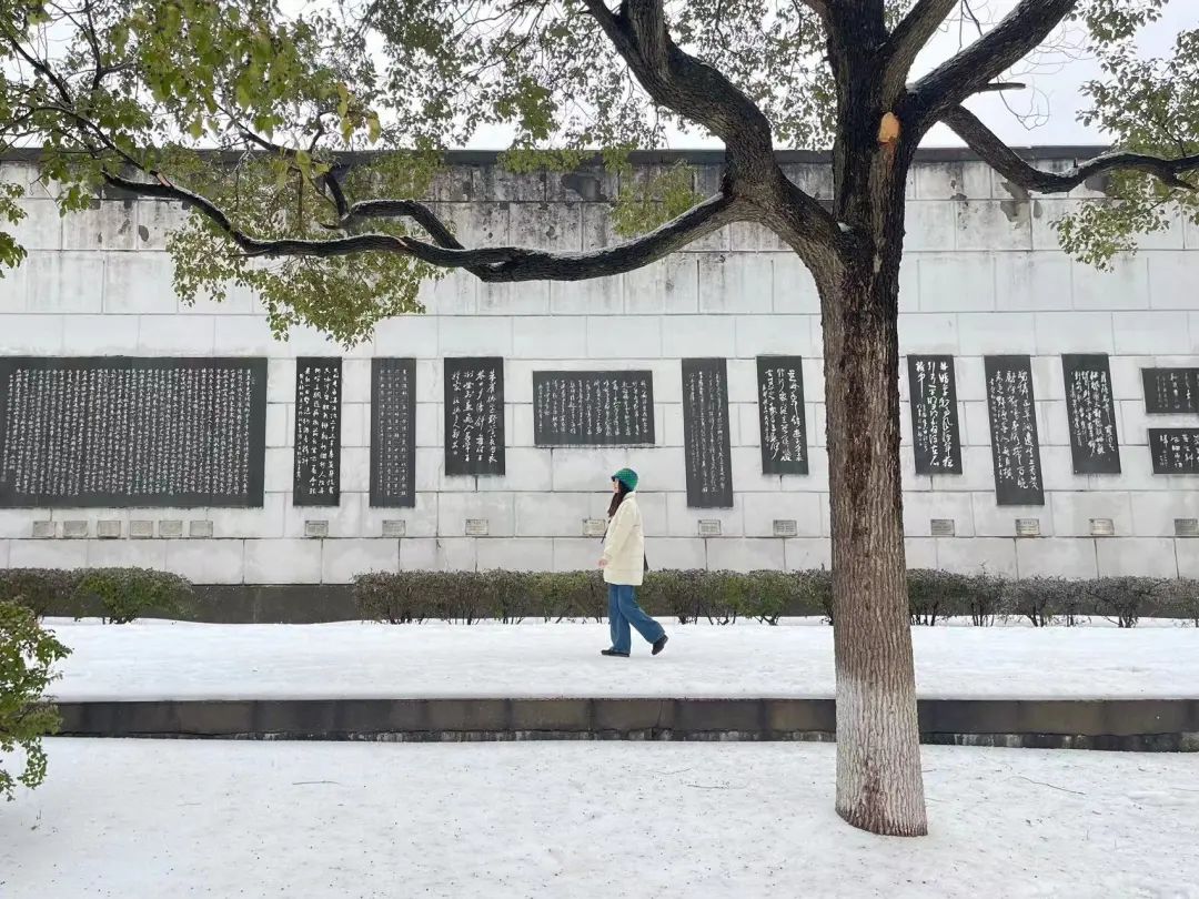 位于沅水防洪墙外侧的诗墙,选刻自先秦以来有关常德的诗作和中外名诗