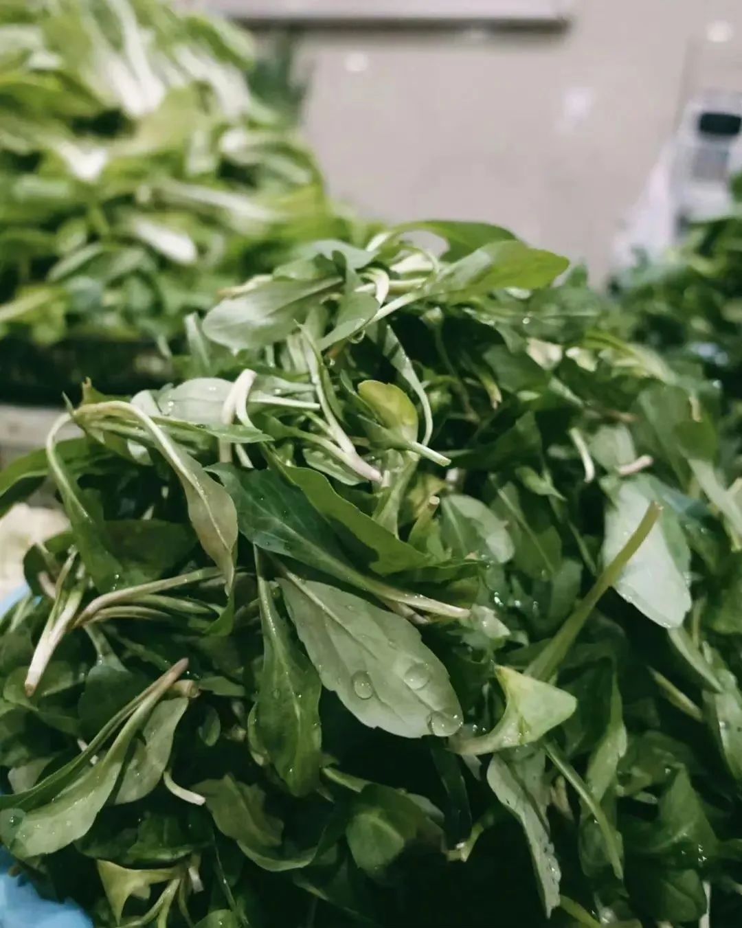 春天里的杭州人,完全吃不过来……|杭州市_新浪财经_新浪网