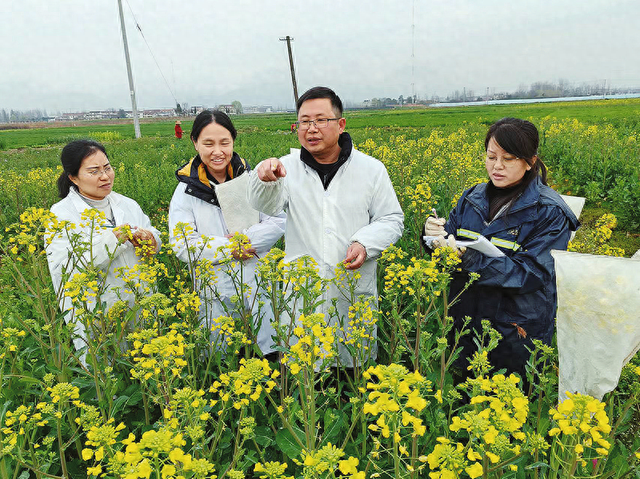 科技"护航"助力 端牢"陕西油瓶子"|汉中市_新浪财经_新浪网