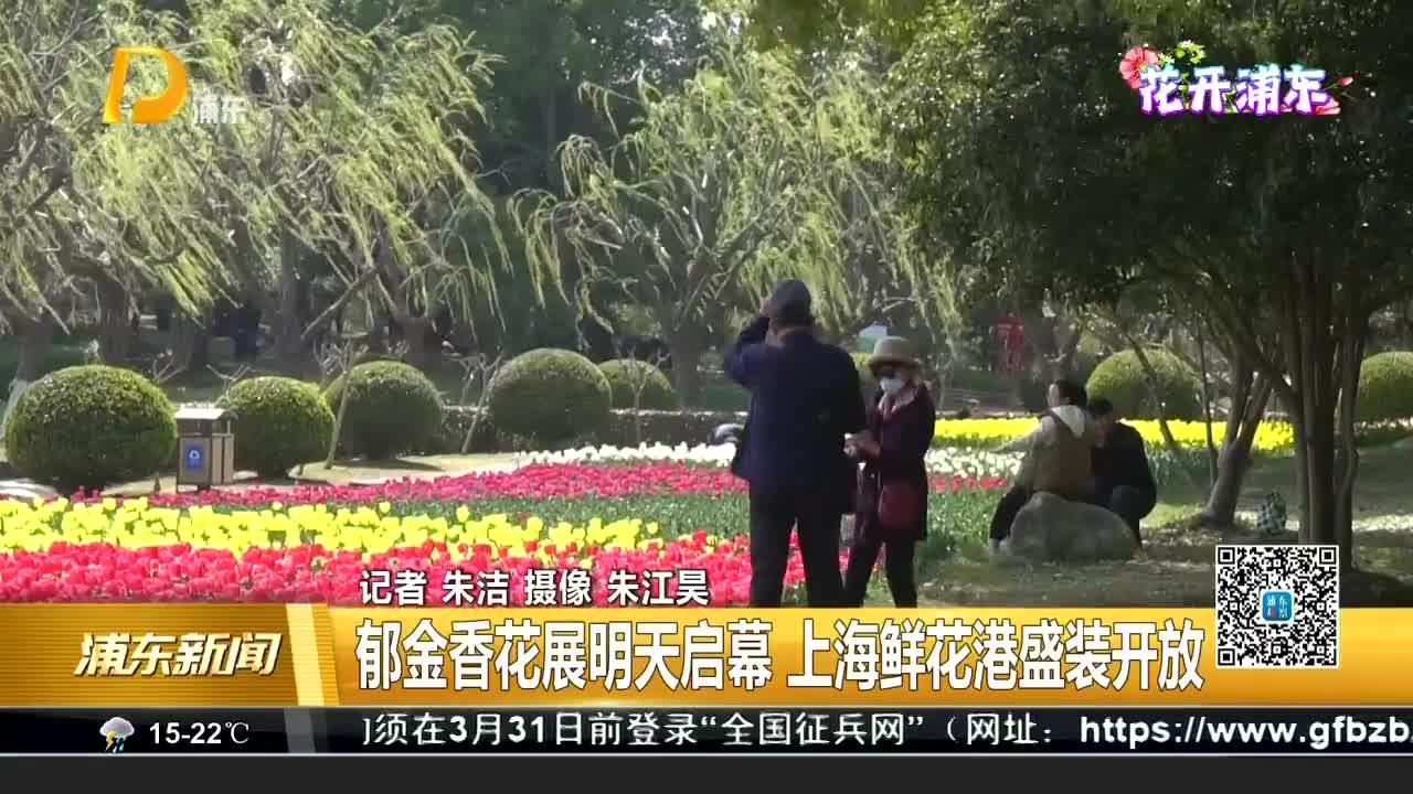 郁金香花展明天启幕 上海鲜花港盛装开放