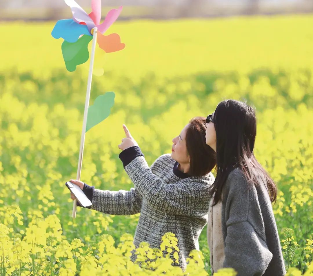 春分时节,马鞍山市当涂县护河镇大面积油菜花竞相绽放,众多市民前来