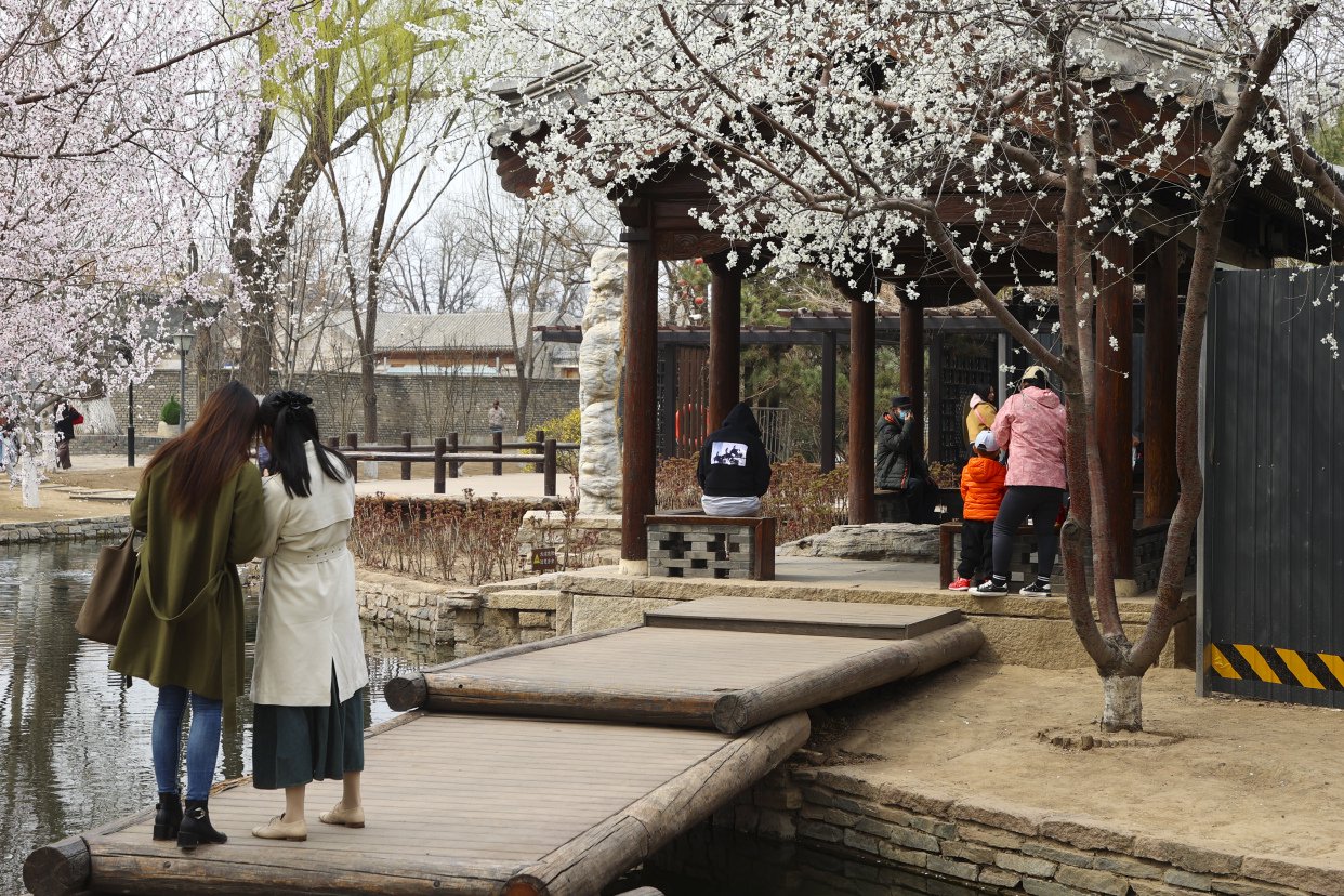 大美东城三里河公园春意盎然