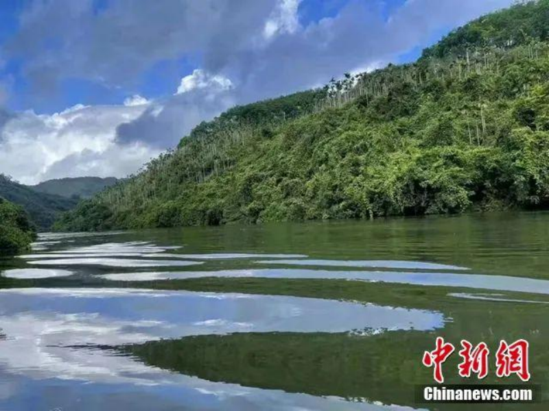 博鳌又成为主要的出海口,成千上万的海南人沿万泉河顺流而下,从博鳌