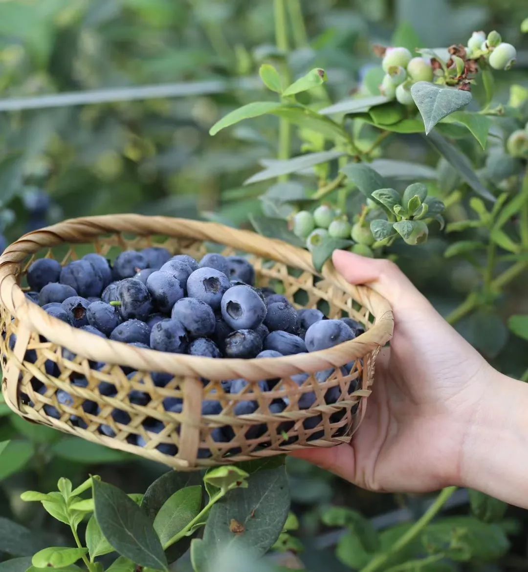 看球赛,游琼中,超多好地方等你来打卡→_新浪财经_新浪网