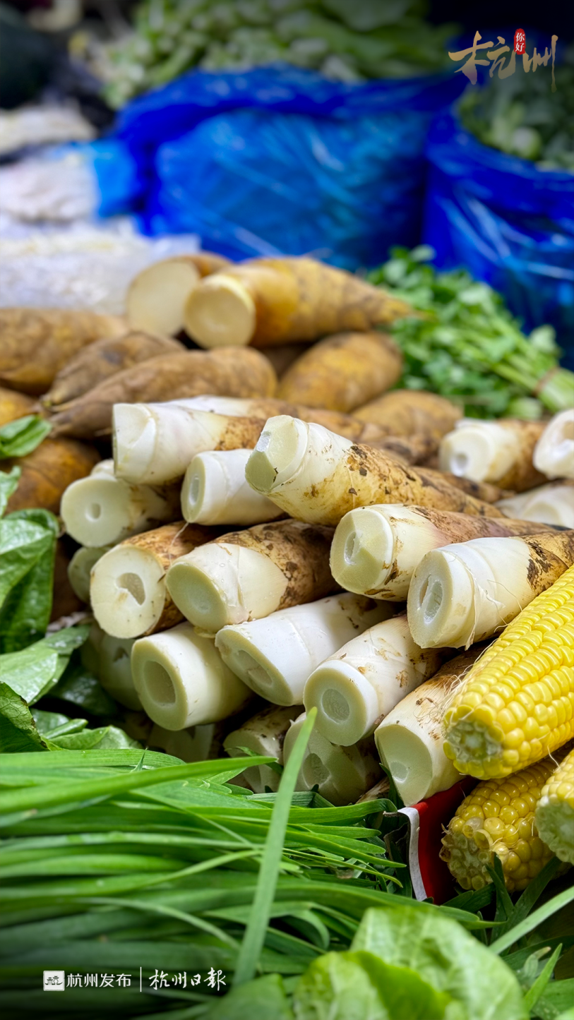 过去老一代山民都相信,在立夏节这一天,大人吃了健脚笋后筋骨活络