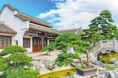 三邑川派盆景艺术博物馆. 成都市温江区委宣传部供图