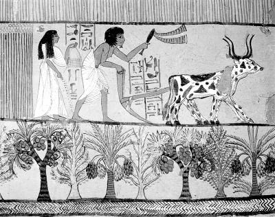 古埃及壁画中人物穿着的褶纹衣（左）和腰衣（右） 资料图片