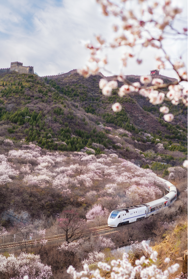 千树万树"春"花开,s2线赏花你来不来?_新浪财经_新浪网