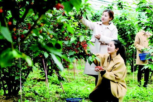 枣庄市台儿庄区:绘就新时代乡村振兴锦绣图景_新浪财经_新浪网