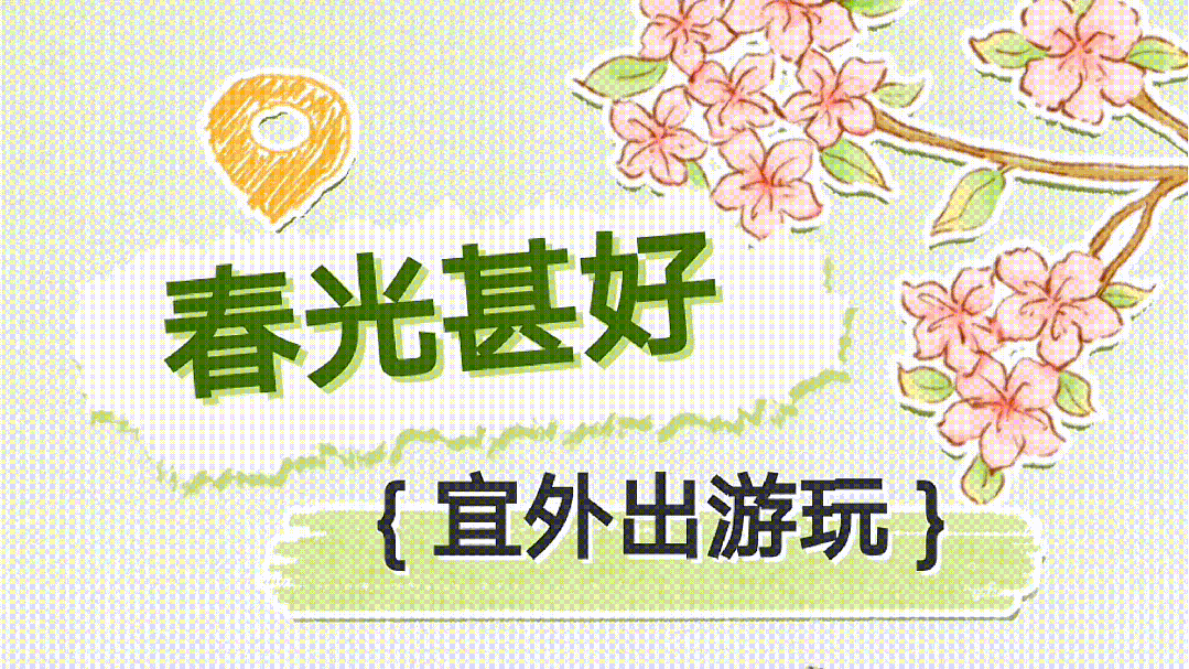 赏花,看海,逛展,一个都不能少!|青岛市_新浪新闻