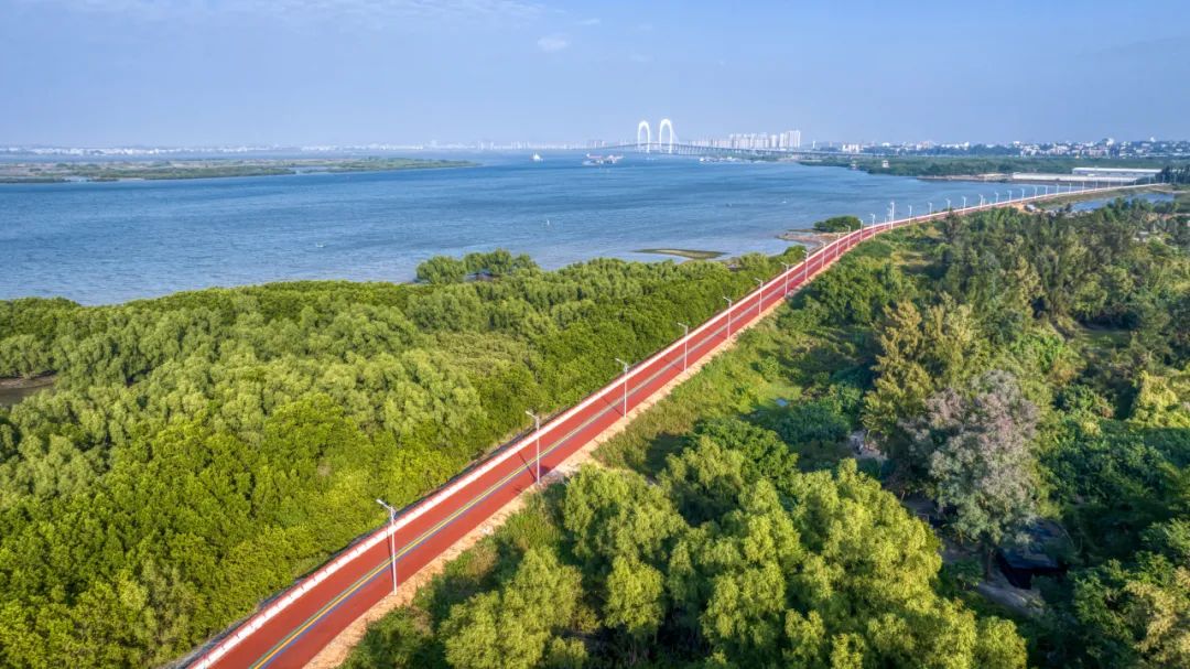 倒计时2天奔跑在茂马醉美滨海赛道