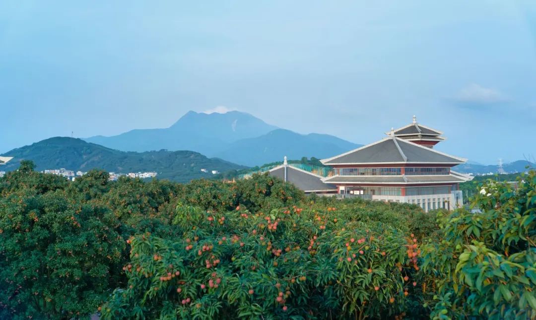 以马拉松之名来茂名赴一场春日之约