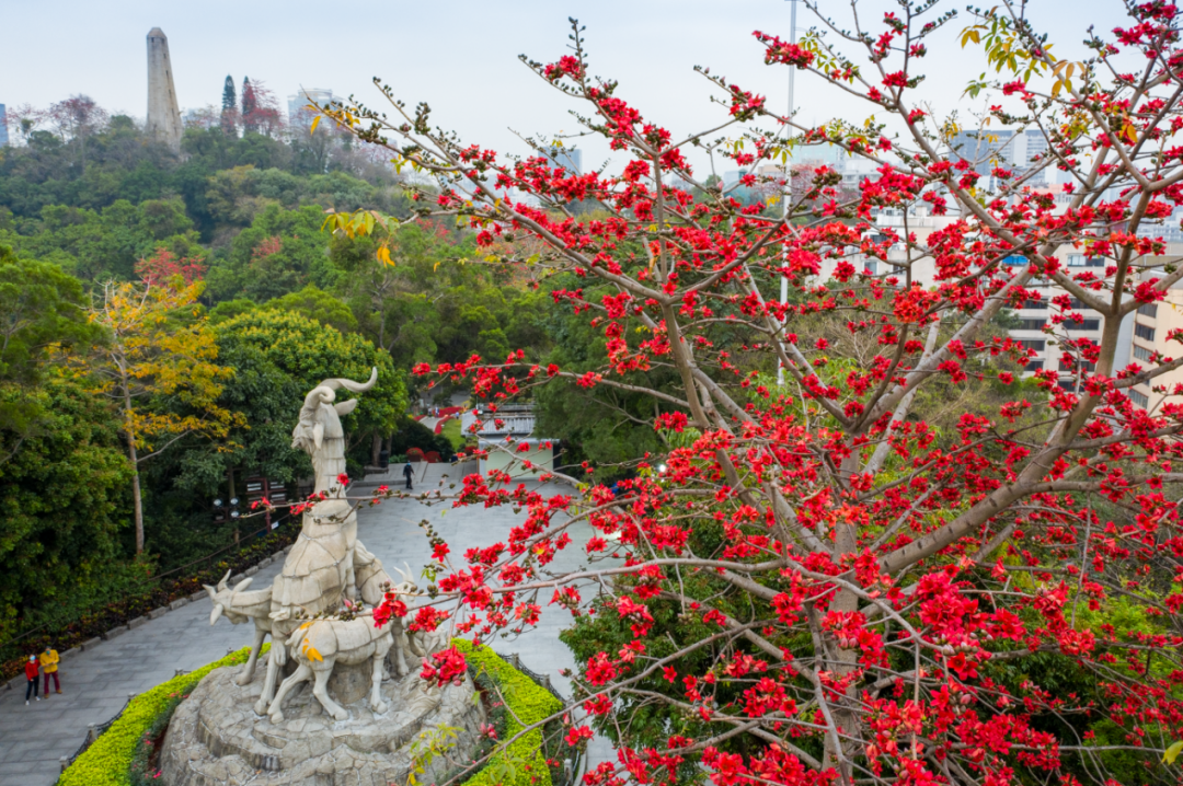 "专场朗诵会将于越秀公园东秀湖畔户外舞台隆重举行将现场精选爱国,爱