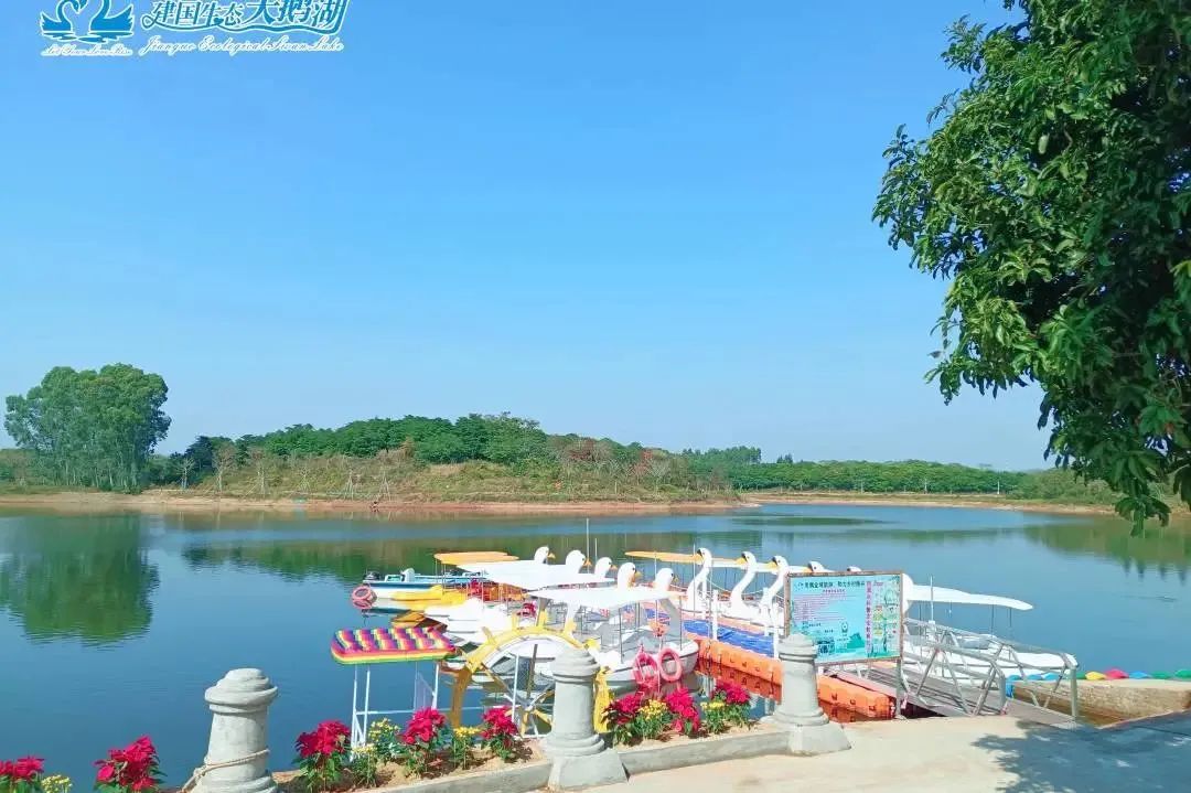 以马拉松之名,来茂名赴一场春日之约~|旅游景区_新浪财经_新浪网
