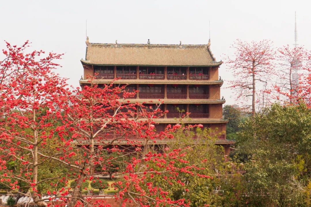 英雄花开,红棉礼赞,来越秀山赴一场春日"诗"约(互动有礼)|广州市_新浪