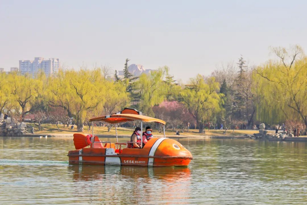 龙潭公园来游船_新浪财经_新浪网