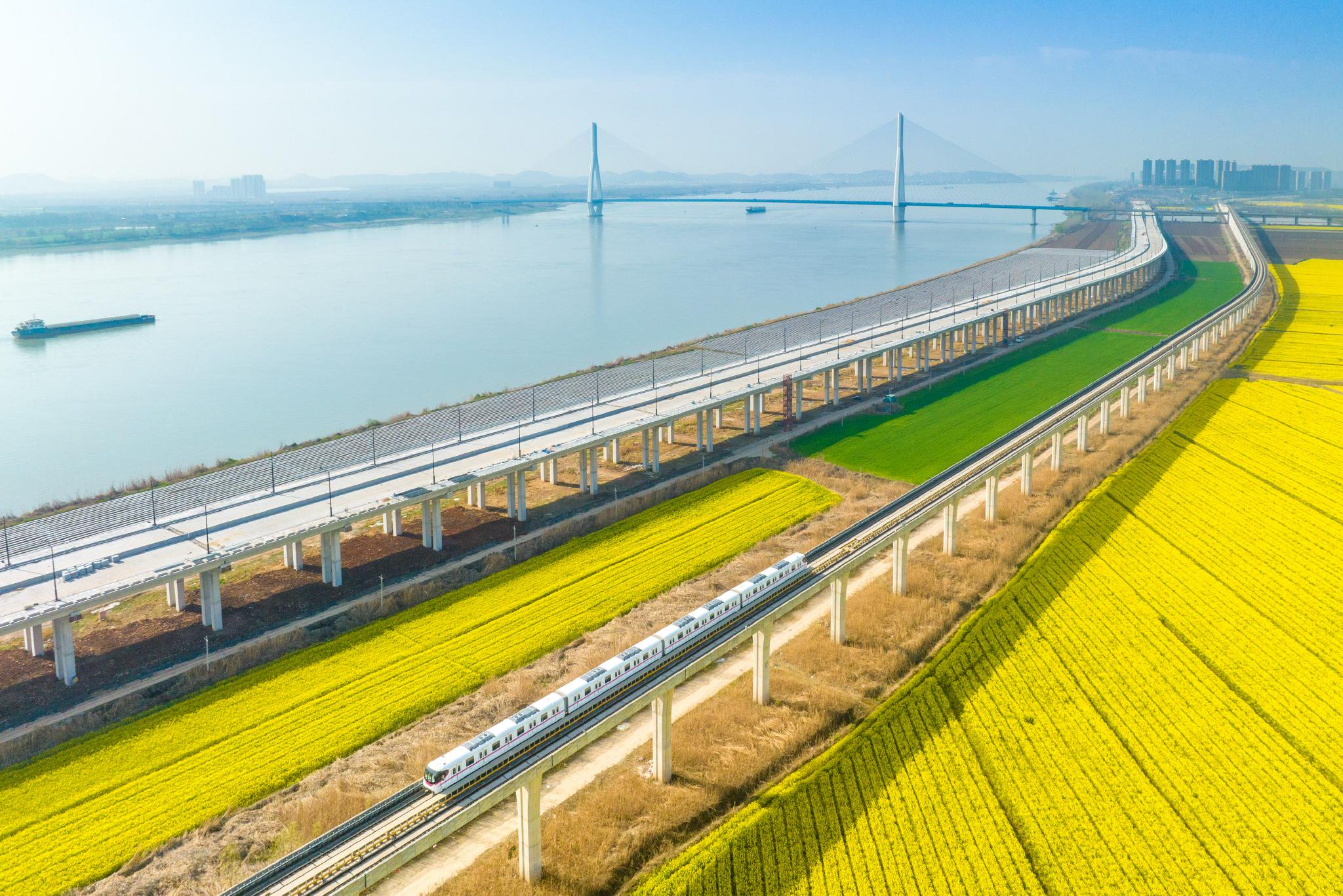 武汉最美观江高架桥奔驰花海|武汉市_新浪财经_新浪网